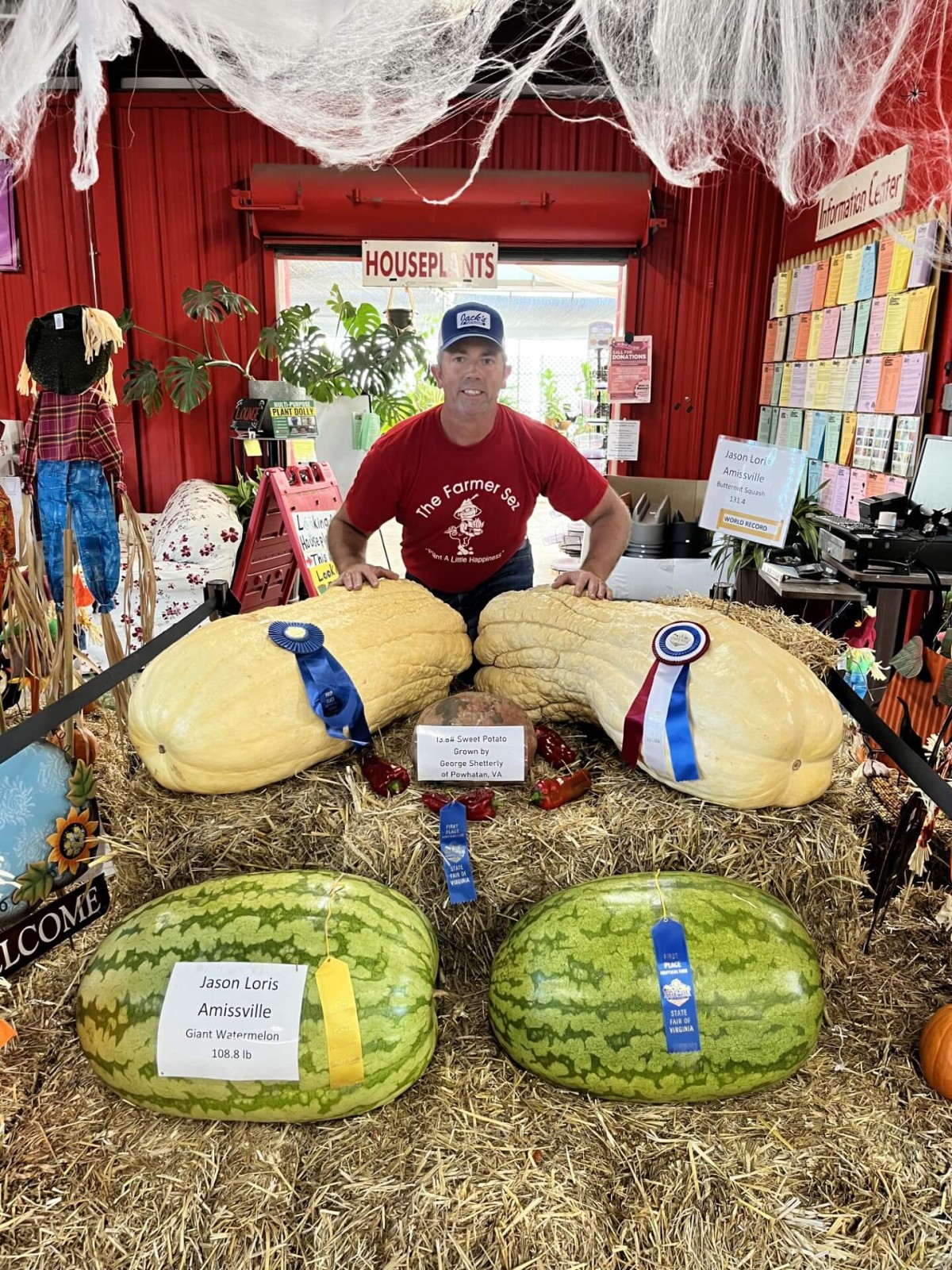 Giants Grown with Products from Holland's Land O' Giants – Land O